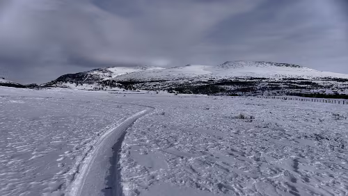 Trondheim – Hamar Der Pfad ist gut zu laufen, aber links und rechts versinkt man sofort mehr als knöcheltief im Schnee.