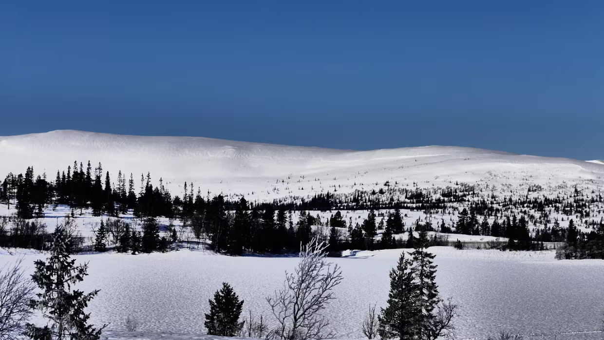 12.03.2022 Mosjøen – Trondheim Karte – Reiseroute Sa 12.03.2022 Mosjøen – Trondheim, 5 Std. 32 Min. (388 km) Unterkunft Unterkunft Aktuelle...