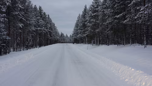 Vuollerim – Tromsø Noch unterhalb des Polarkreises.
