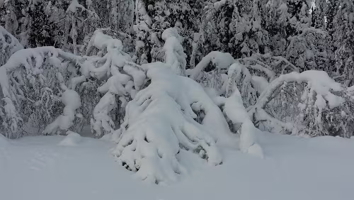 Vuollerim – Tromsø Schnee satt.