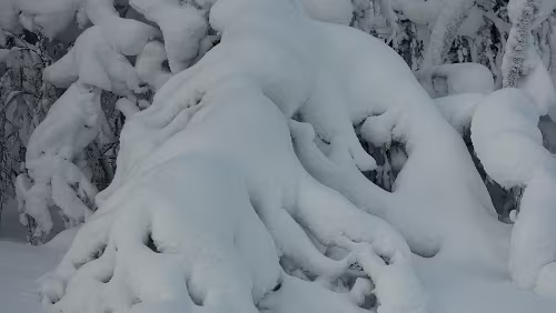 Vuollerim – Tromsø Schnee satt.