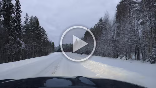 Vuollerim – Tromsø Ein Elch quert die Straße, in sicherer Entfernung.