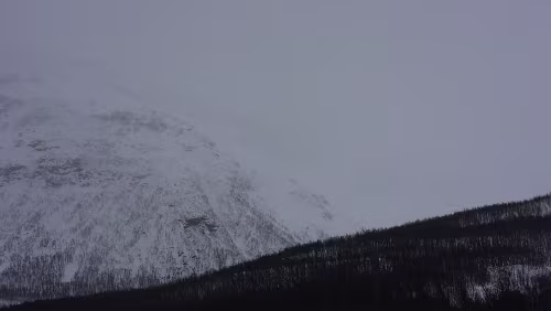 Tromsø – Skarberget – – Bognes – Bodø Tja, von den schönen Bergen ist hier wenig zu sehen, alles steht in einer „Suppe“.