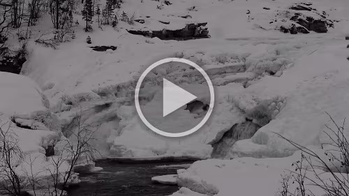 Tromsø – Skarberget – – Bognes – Bodø Der Målselvfossen.