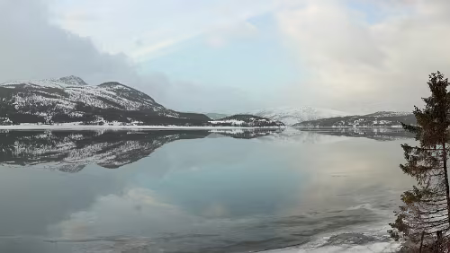 Bodø – Mosjøen An einem Rastplatz am Finneidfjord. Panorama