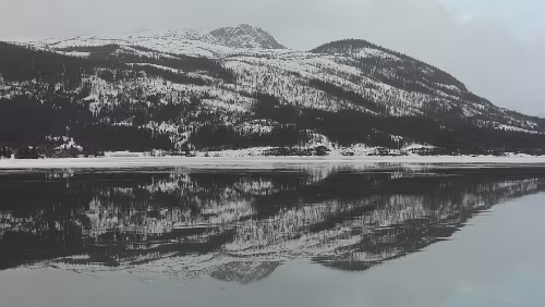 Bodø – Mosjøen An einem Rastplatz am Finneidfjord.