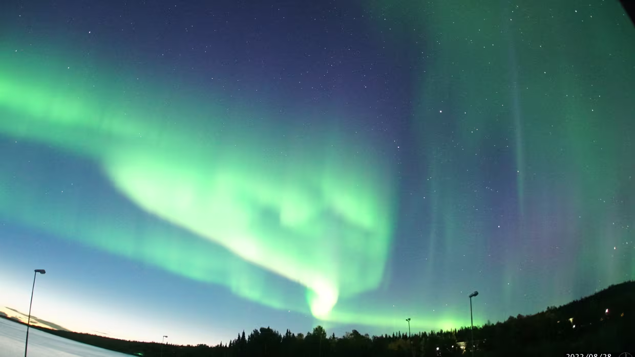 Besondere und kuriose Einzelaufnahmen