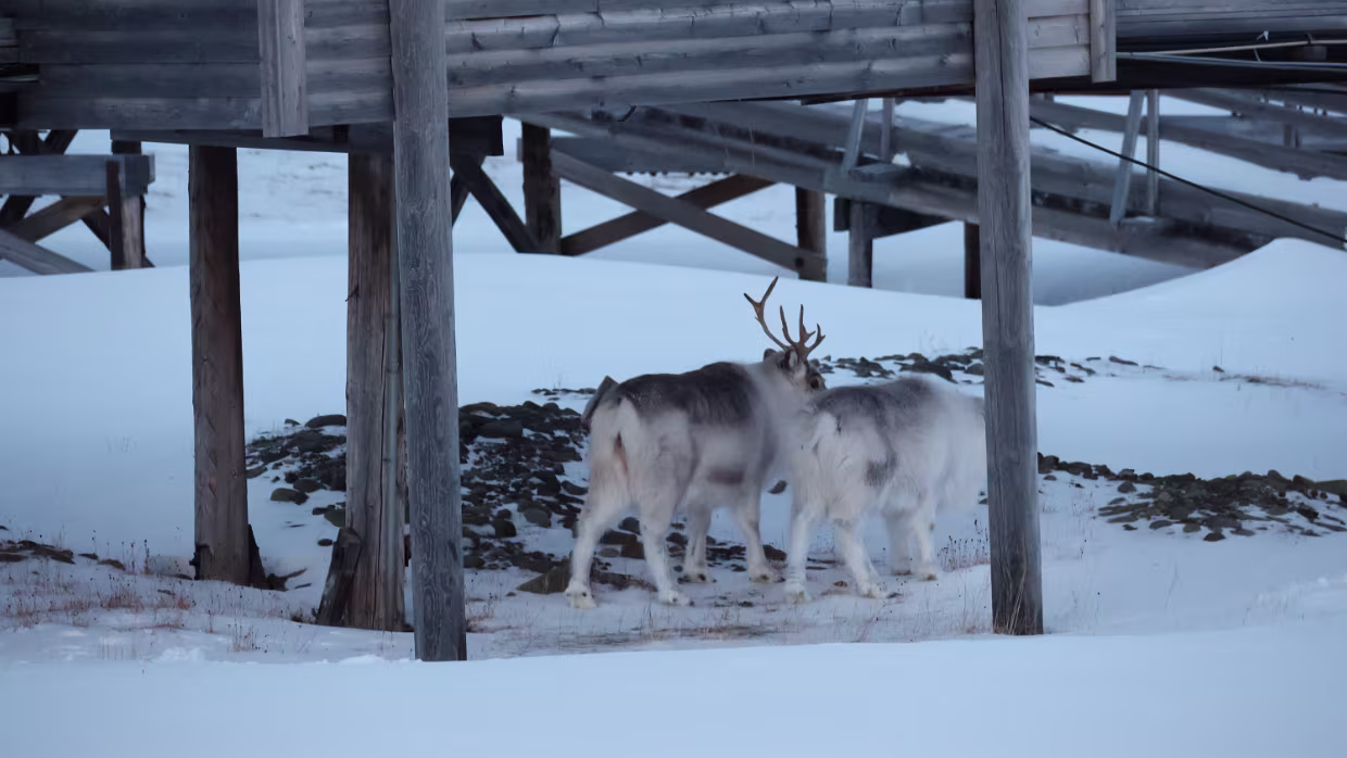 03.02.2023 Longyearbyen Karte – Reiseroute Fr 03.02.2023 Longyearbyen Unterkunft Unterkunft Aktuelle Wetteraussichten vv_Longyearbyen...