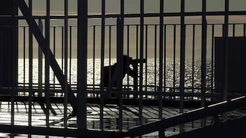 Auf See Geländerrrrrrrr.