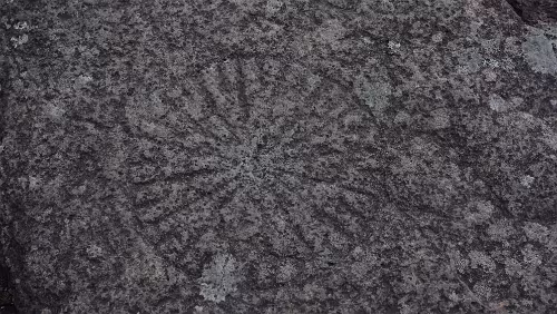 Tórshavn Ein Muster auf einem Stein der am Boden liegt.