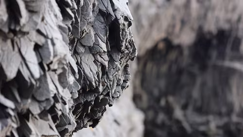 Reykjavík – Vík í Mýrdal Am Reynisfjara, auch Black Beach, also Schwarzer Strand, genannt.