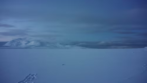 Snowmobile Safari to Grønfjorden Der zugefrorene Grønfjorden.