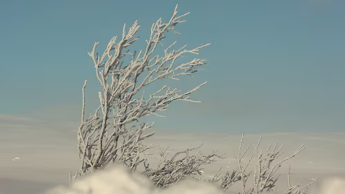 Bodø – Mosjøen Wunderbares Wetter bei -20°C.