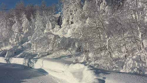 Bodø – Mosjøen Hier geht es zum „ Bahnhof Bolna “.