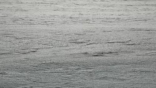 Trondheim – Lillehammer Die oberste Schicht Schnee ist zwar fest, aber man bricht trotzdem gleich tief ein.