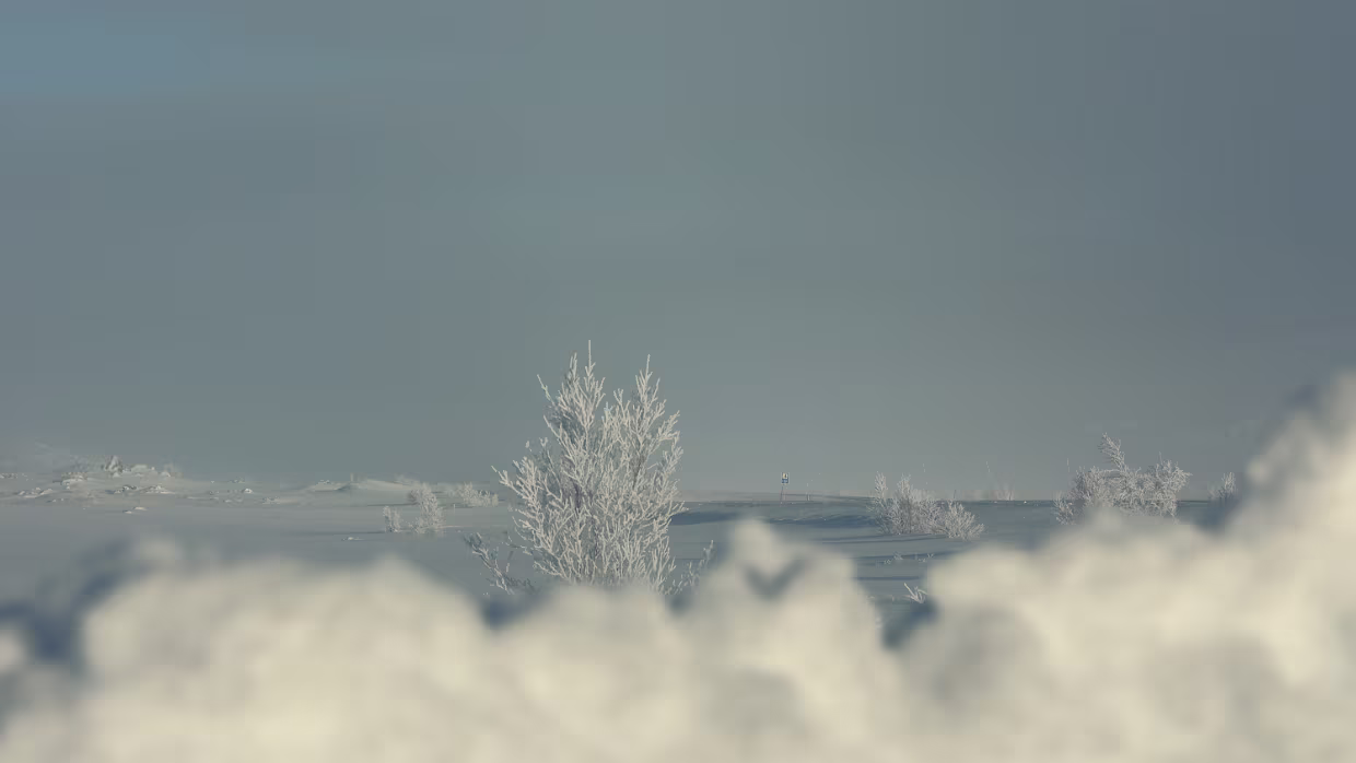Epilog 2024/01 12.02.2024 Wie entsteht eigentlich so ein Reisebericht üblicherweise? In den Monaten vor der Reise wird ja bereits...