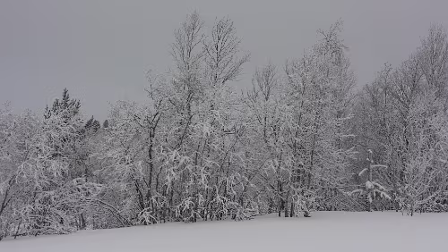 Vuollerim – Tromsø Die letzten Kilometer in Schweden.