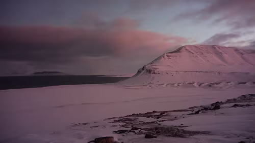 Snøscootertur til Elveneset Am Endpunkt der heutigen Tour angekommen. Blick in Richtung Osten.
