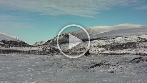 Trondheim – Lillehammer Noch ein paar Schritte in die andere Richtung am Parkplatz.