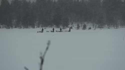 Lillehammer – Dagali Ahh, die Hundeschlittengruppen kehrt schon wieder zurück.