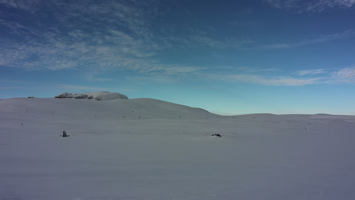 Zusammenfassung 2025/01