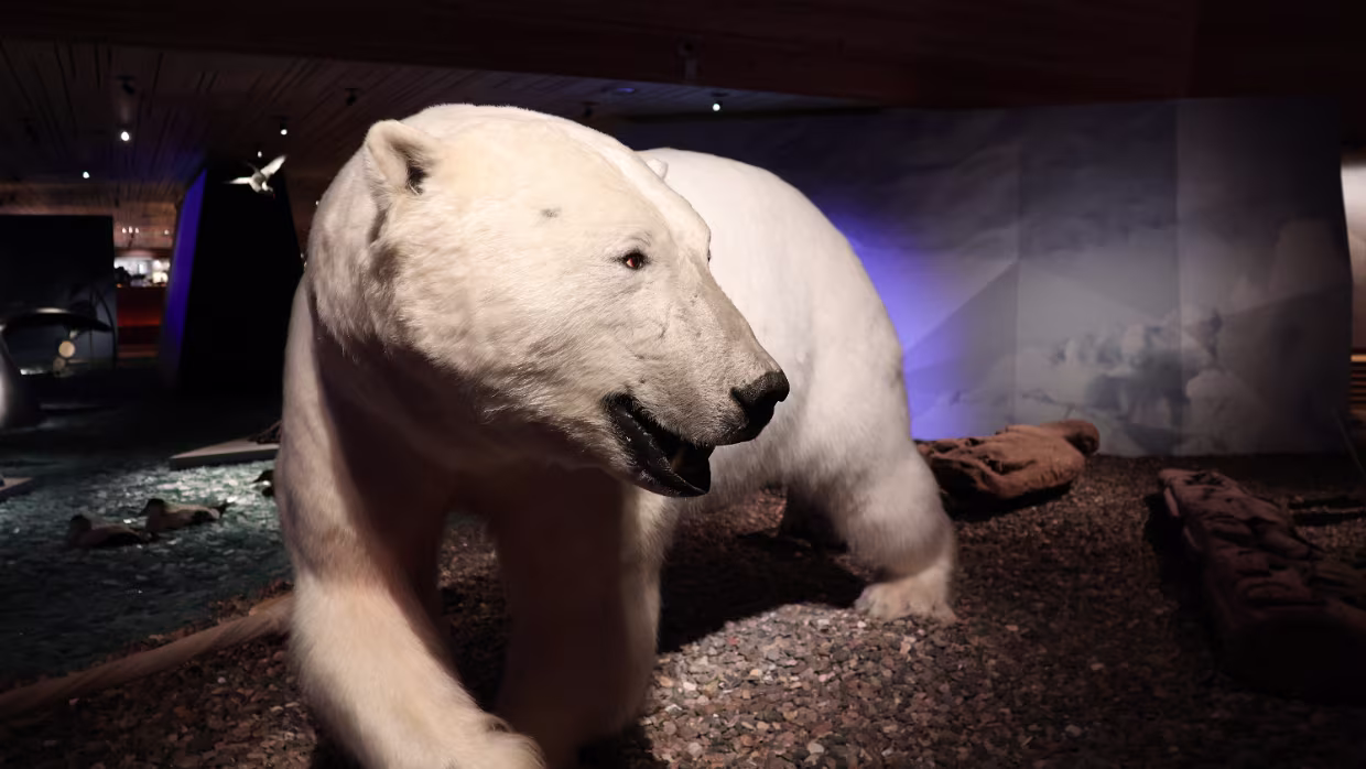 27.11.2025 Longyearbyen – Taubanesentralen - Guidet tur