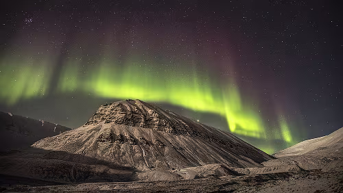 Arctic Coliving 78° North