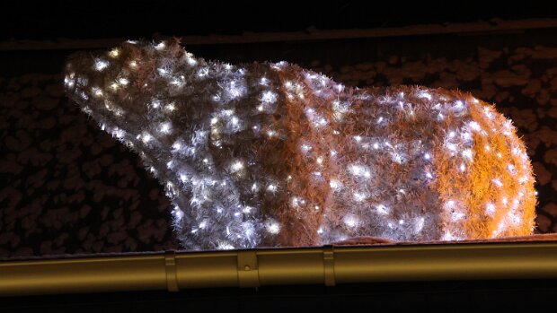 Zusammenfassung 2025/11 Karte – Reiseroute 2025 ∑ Alle Keine Plan Real – – OSL – – – LYR – Longyearbyen">24.11. 25.11. 26.11. 27.11. 28.11....