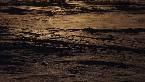 Jokkmokk – Nordkjosbotn Das sieht zwar irgendwie warm aus, aber es ist frostig kalt.