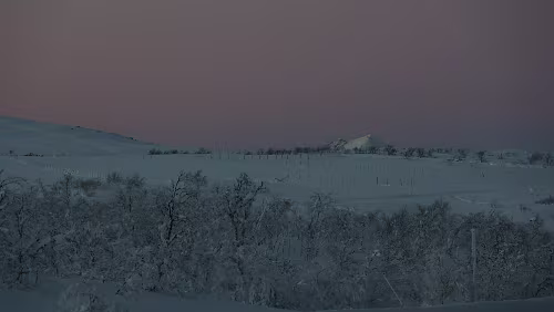 Jokkmokk – Nordkjosbotn Im Grenzgebiet von Suomi und Norge. Es ist windstill und sehr frostig.
