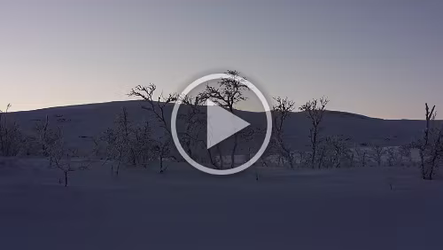 Jokkmokk – Nordkjosbotn Im Grenzgebiet von Suomi und Norge. Es ist windstill und sehr frostig.