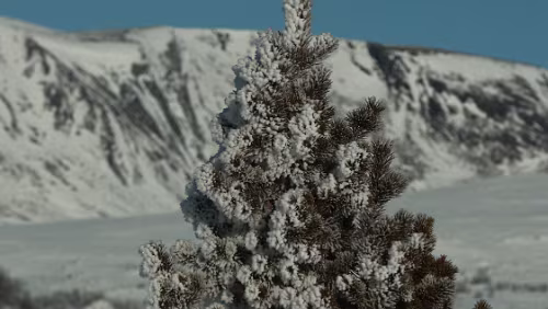 Trondheim – Lillehammer