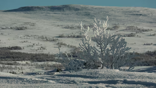 Trondheim – Lillehammer