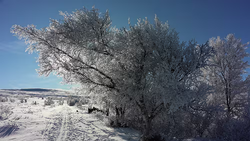 Trondheim – Lillehammer