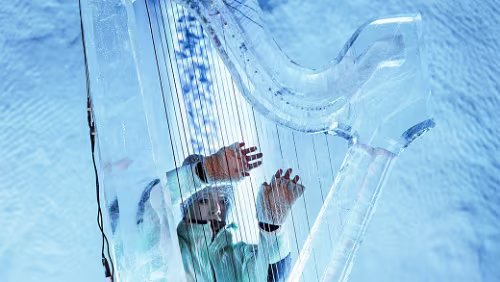 whiteBOX: »Out Of The Box«-Festival