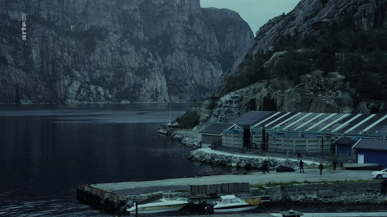 17.10.2020 arte | The Killing III