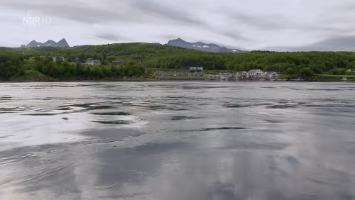 Norwegens Sehnsuchtsstraße Meine Unterkunft im Februar 2018‚ Saltstraumen Brygge‘