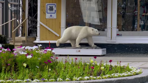 Norwegens Sehnsuchtsstraße Tromsø