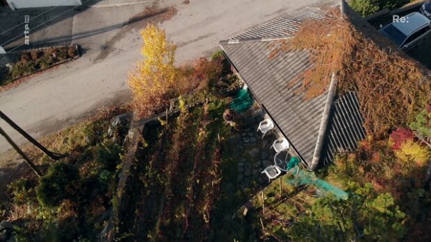 30.12.2019 arte | Re: Ein Riesling aus Norwegen Die Klimazonen für die Rebpflanzen wandern nach Norden, während die Winzer in Südeuropa um ihre Existenz fürchten...