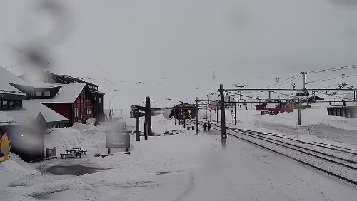 Screenshot 2025-04-13 204621