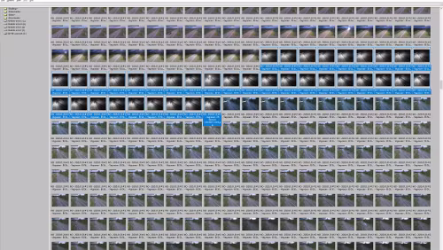 IrfanView In IrfanView suchen wir optisch nach Bildern die zu dunkel sind und löschen sie.