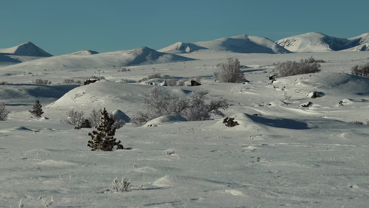 Norge, Sverige, Danmark, Suomi, Ísland Reisen in den hohen Norden