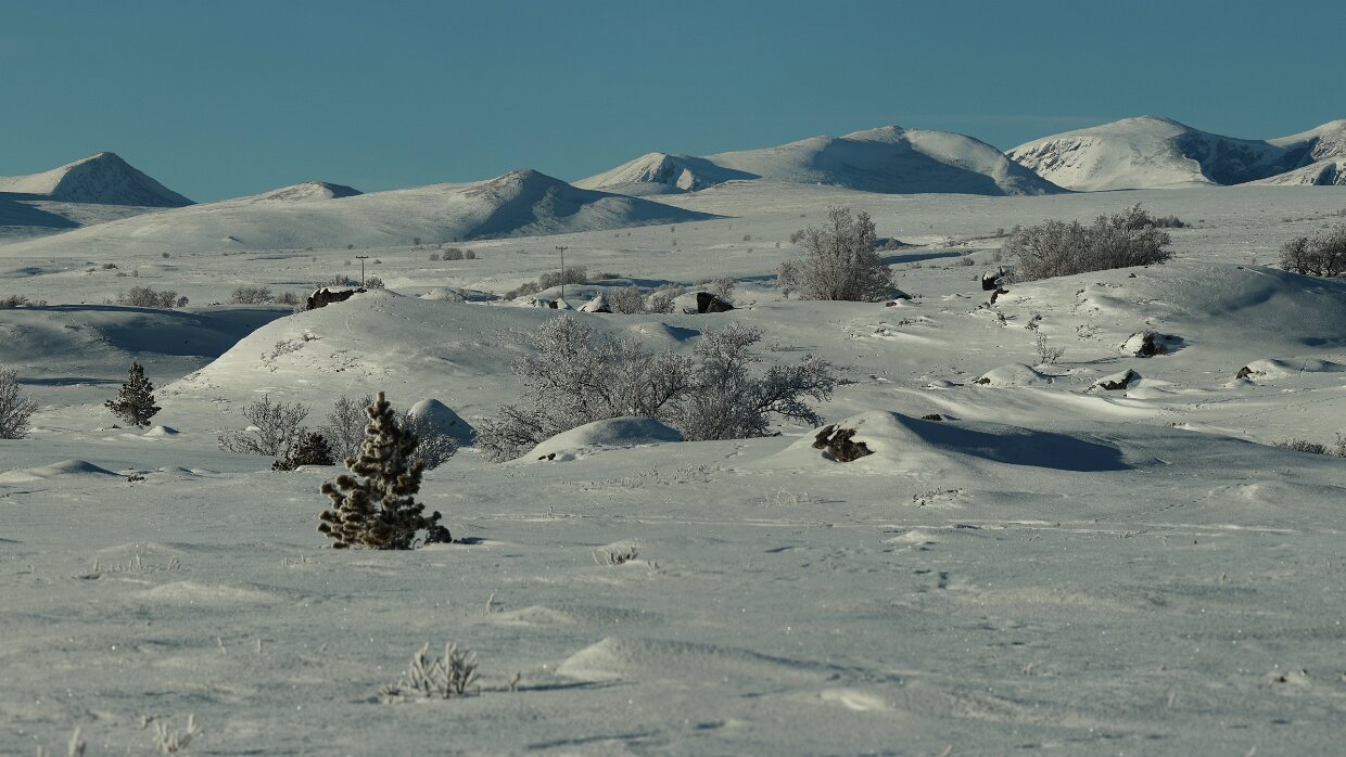 2026/01 (20) Hahnstätten – Siegen – Bremen – Putt&shy;garden – – Rødbyhavn – Helsingør – – Helsingborg – Sunne – Östersund – Jokkmokk...